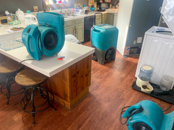 Best Water damage cleanup near me  in Lawrencevle, IL