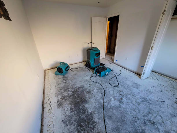 Best Mold removal after water damage  in Lawrencevle, IL