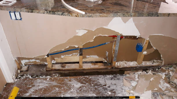 Best Local water damage restoration  in Lawrencevle, IL