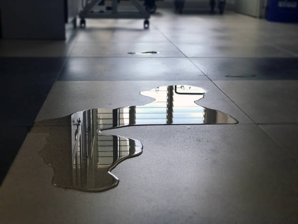 Best Emergency water damage restoration  in Lawrencevle, IL