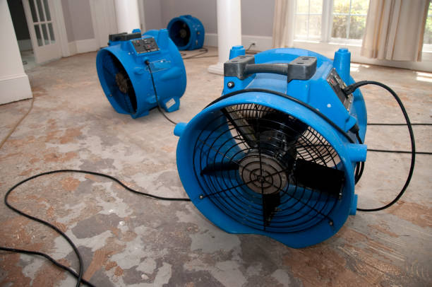 Best Professional water damage repair  in Lawrencevle, IL