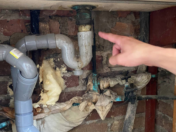 Best 24-hour water damage restoration  in Lawrencevle, IL