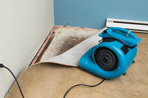 Best Flood restoration services  in Lawrencevle, IL